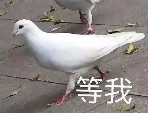 年度巨献当代大学生寒假社交指南...