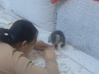 反对养猫的老妈,趁着网友上班,在家