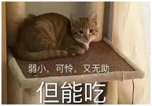 有一种敷衍,叫美术生的考试时间还剩5分钟