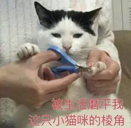 换个工作结果导致身份失效一季度h1b32的高拒批率令人咋舌
