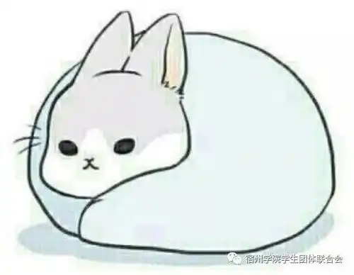 联联小讲堂