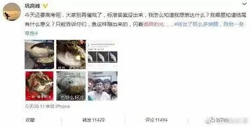 什么是过度解读
