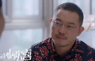 小欢喜乔卫东和宋倩离婚真实原因是什么乔卫东出轨了吗