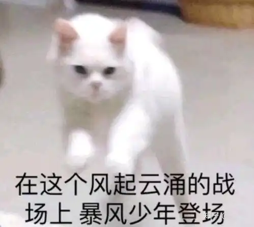 杂收藏夹