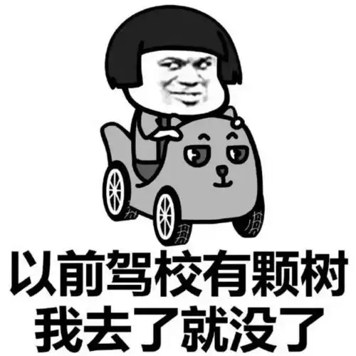 我讨厌太阳,我学过车