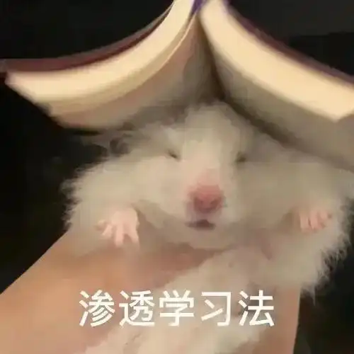 真仓鼠撩妹表情包整套萌图全是套路