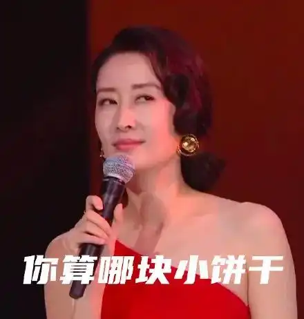 表情刘敏涛表情包