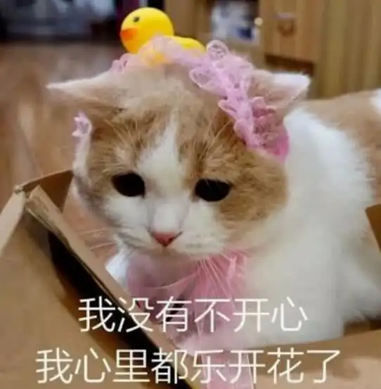 幽默笑话大清早女友来家里找我,为她开门的是我的小外甥