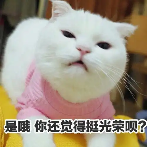 或许有人想看很萌的表情包嘛,感觉很适合女生撒娇...