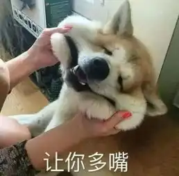 狗子自己磕桌角,我妈问我为什么老是逼他你应该正确认识一下,这个家谁是亲生的,谁是领养的