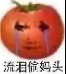 救命太沙雕了番茄偷妈头系列表情包
