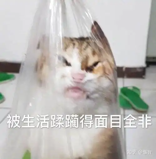90创业失败的根本原因开始就错