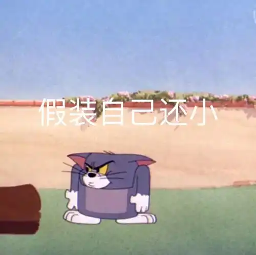 小可爱的表情包