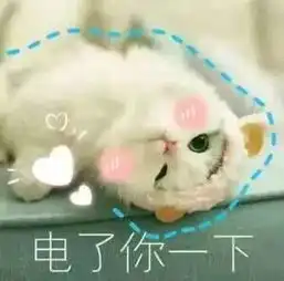 听说今天又要被鸽