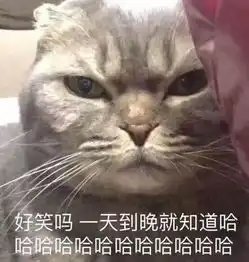 可爱猫咪表情包,快拿去撩小姐姐001