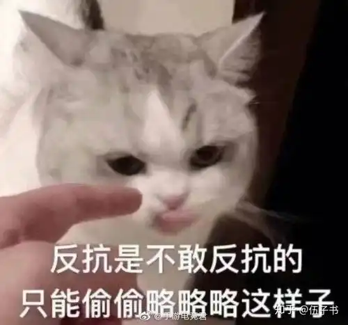 智联以及猎聘上的简历修改服务值得购买吗,中英文简历修改各有什么特点