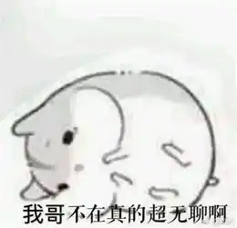 不准靠近我哥奶气