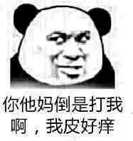 表情包风里雨里,一大波斗图等着你