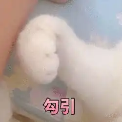 猫爪表情包,萌猫出击