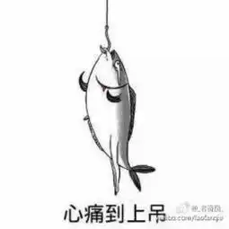 我已经是条咸鱼开车鱼哔哩哔哩直播