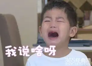 综艺界三大扛把子,建议他们长大后搞个组合出道