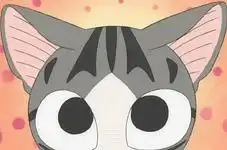 坏牙日记