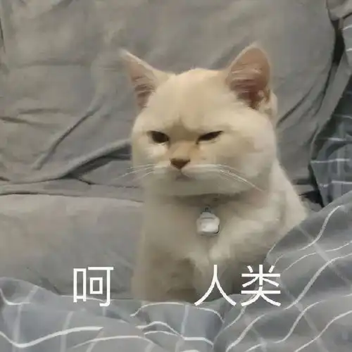 这几大星座的伪装最难被看破,千万别被骗了
