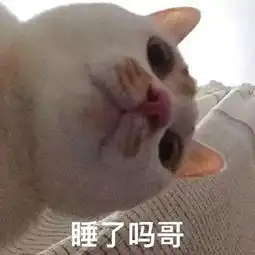 猫咪表情包合集我没事,我很快乐