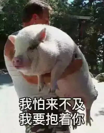 迫不及待表情包迫不及待微信表情包迫不及待qq表情包发表情fabiaoqing.com