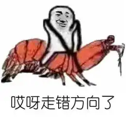 如何在20分钟内快速了解数据降维和参数降维
