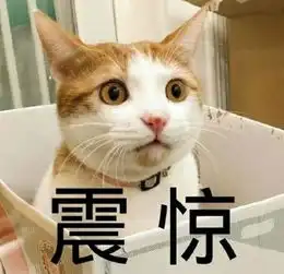 猫咪表情包合集你看我像猪吗
