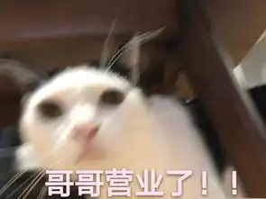 没有这组表情包的女孩,只能说你是个假粉丝