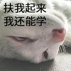 大尾巴狼的相册表情包丑白毛33