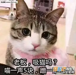 生活又要开始伤害我这个弱女子了吗图片老板吸猫吗喵一声五块表情包下载乐游网游戏下载