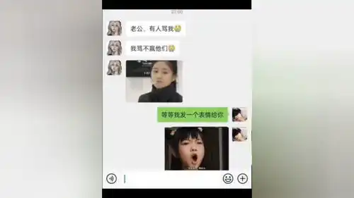 表情包聊天记录每一帧都是表情包