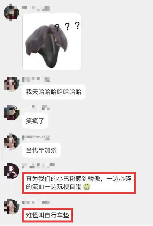 谁惨杨幂生日,迪丽热巴用蔡徐坤表情包后道歉,粉丝群聊天记录曝光用词扎心