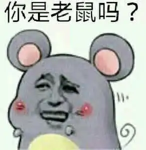 猪系列套路表情包猪系列套路表情包大全下载无水印最新合集乐游网游戏下载