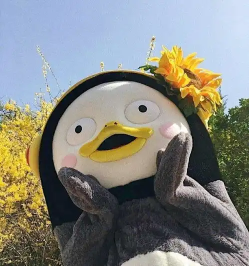 自考本科,如何最快取得毕业证,学士学位证
