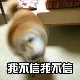 柴犬表情包带字