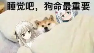 官方跑图最为致命