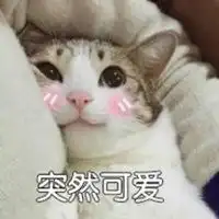 猫咪撒娇表情包微信头像图片大全