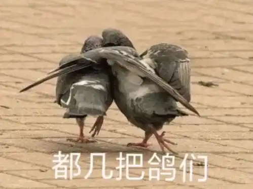 魔兽世界9.2战报,新cd开始,天涯压哨绝杀黑伦度斯,同归于尽团本国服网易订阅