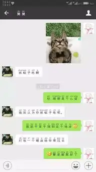 丹丹酱谈那些年我们的代沟叫做我看不懂你的表情包