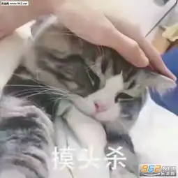 小孩子不可以看表情包反抗是不敢反抗的只能偷偷略略略这样子表情包下载乐游网游戏下载