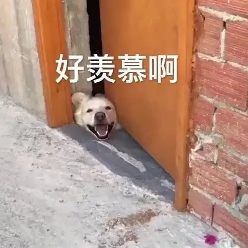表情包亲亲好不好
