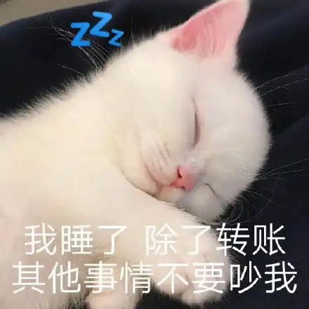 头像表情包丨甜甜的文案没有,只有甜甜的小猫咪