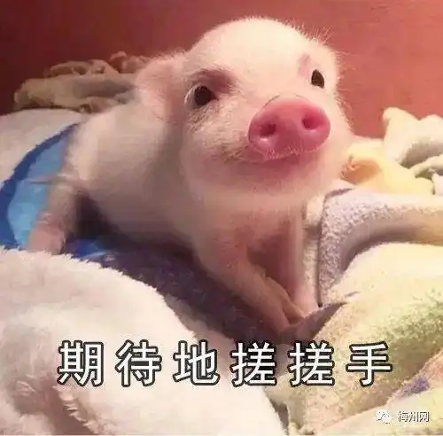 寒五华最低11c放假通知来了...