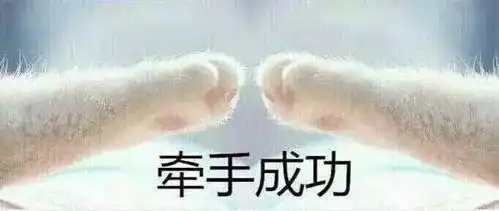 你看到复旦人背后的锅了吗
