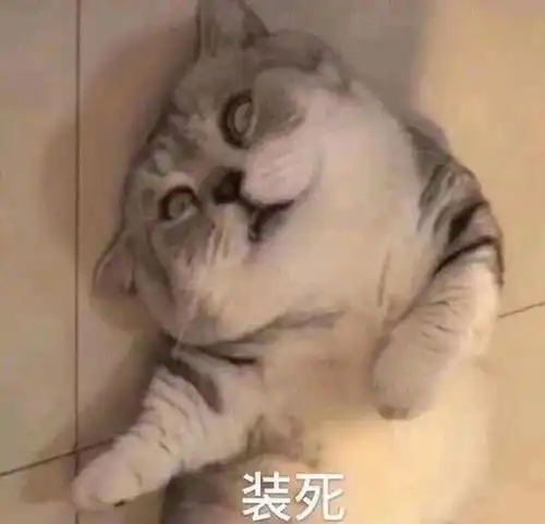 可爱系列表情包我不想上班,我不去