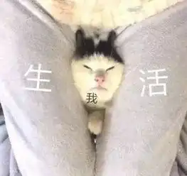 系列表情包